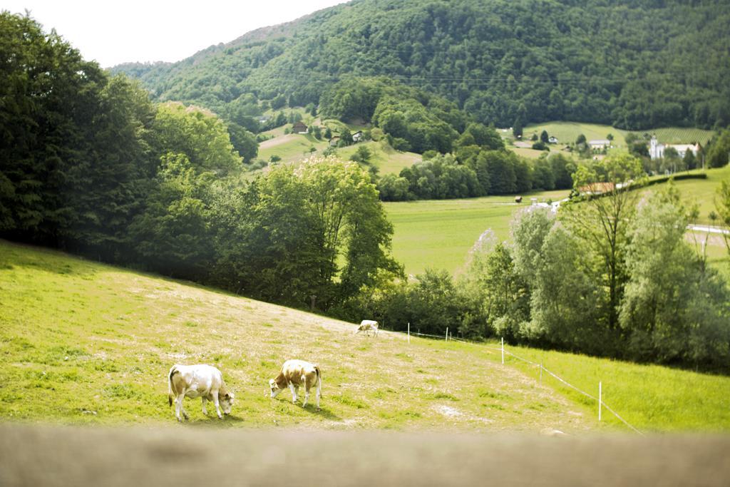 Tourist Farm Mraz Vila Podčetrtek Exterior foto