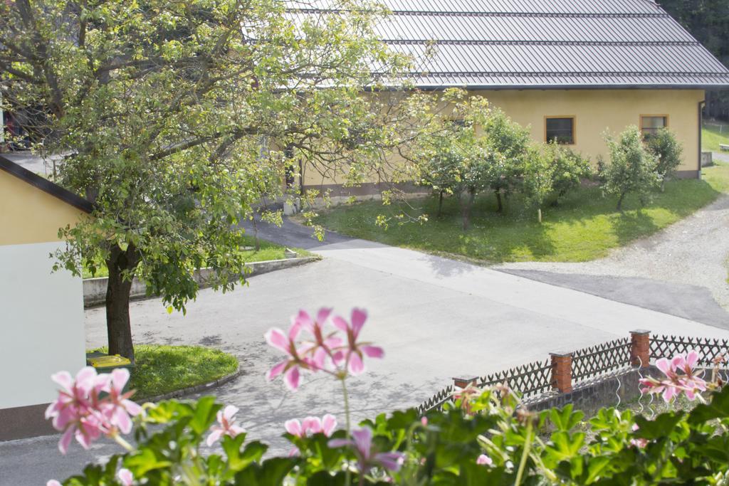 Tourist Farm Mraz Vila Podčetrtek Exterior foto