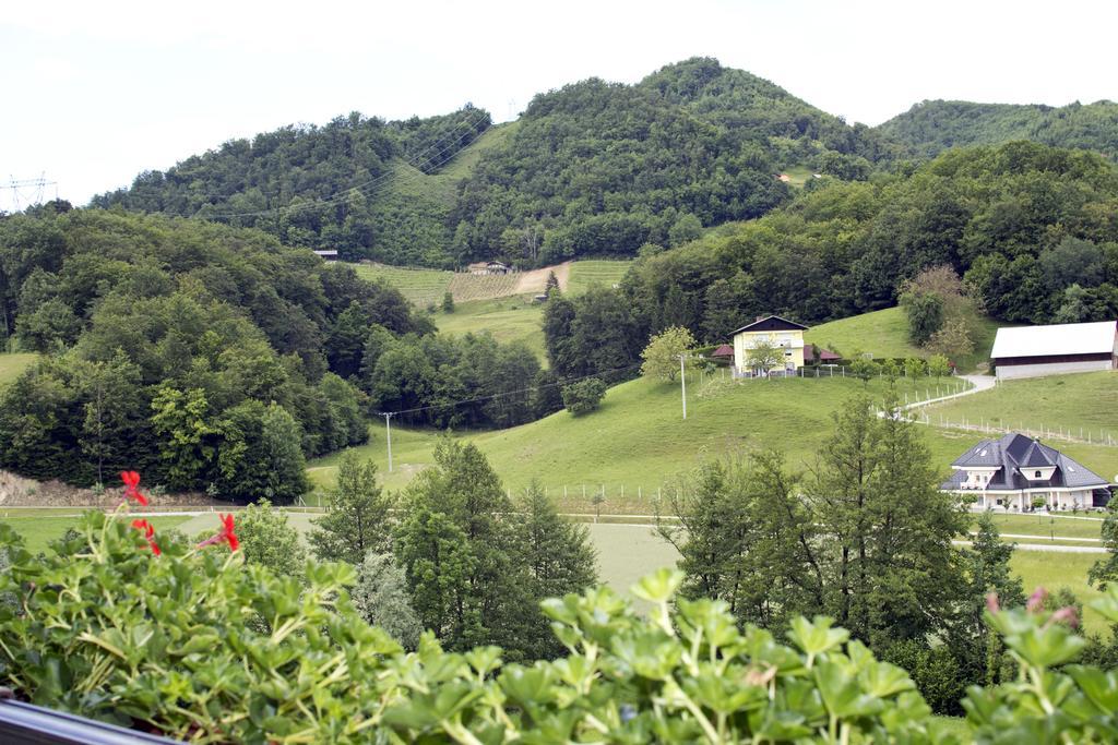 Tourist Farm Mraz Vila Podčetrtek Exterior foto